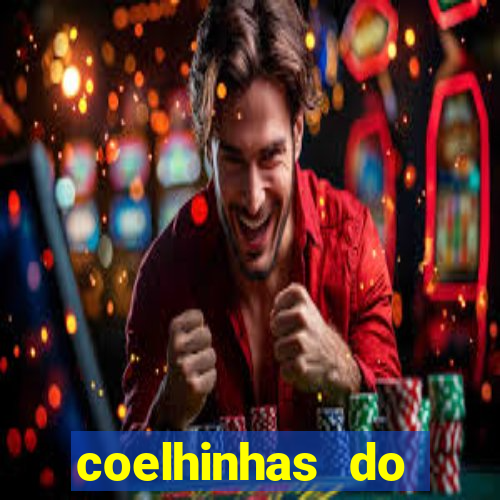 coelhinhas do brasil recife